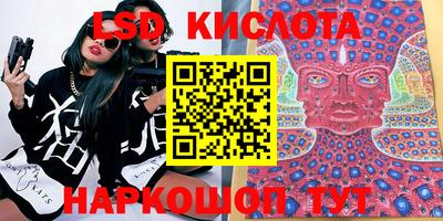 шишки Донской