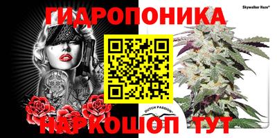 герыч Дубна