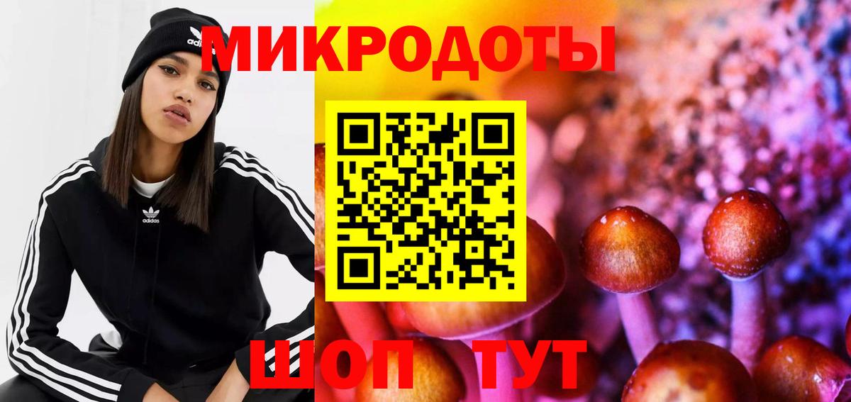 Псилоцибиновые грибы GOLDEN TEACHER Магадан