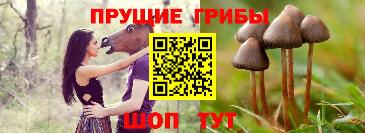 Магадан  Галлюциногенные грибы Magic Shrooms  Вход с VPN 